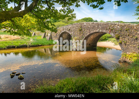 An einem warmen Sommernachmittag, die East Dart River rieselt unter der schöne Granit gebaute Brücke an zwei Brücken in Dartmoor National Park. Stockfoto