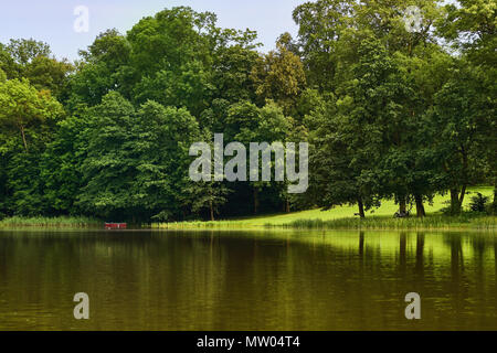 Blick vom Wasser auf der See im Wald Stockfoto