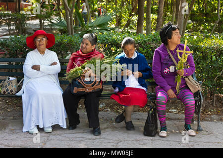 Mexikanische Frau für die PALMSONNTAGSPROZESSION vom Parque Juarez zum Jardin - San Miguel de Allende, Mexiko sammeln Stockfoto