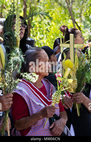 Mexikaner Line up für eine blession zu Beginn der PALMSONNTAG Prozession vom Parque Juarez zum Jardin - San Miguel de Allende, Mexiko Stockfoto
