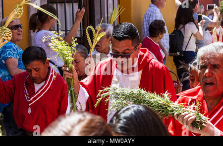 Katholische Priester sprengen Weihwasser auf die Gläubigen während der palmsonntag Prozession vom Parque Juarez zum Jardin - San Miguel de Allende, Mexiko Stockfoto