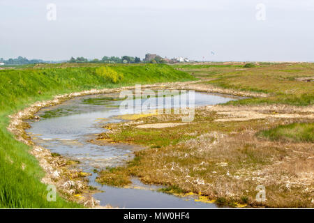 Anzeigen von Salzwasser Marsh shingle street Suffolk UK Stockfoto