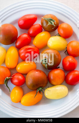Bunter Mix aus Tomaten Stockfoto