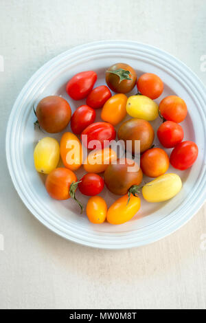 Bunter Mix aus Tomaten Stockfoto
