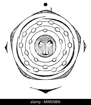 . Diagramm einer Blume von Sorbus domestica (Rosaceae). 11. Juni 2006 gescannt.de: Benutzer: Griensteidl 567 Sorbus domestica flowerdiagram Stockfoto