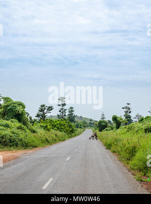 Lange asphaltierte Landstraße durch ländlichen Senegal führen mit Eselskarren und üppige Vegetation, Afrika. Stockfoto