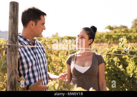 Attraktive Paare stehen im Weinberg mit dunklen Haaren und legere Shirts an einem sonnigen Tag Stockfoto