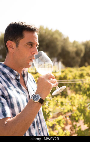 Mann mit einem Überprüft blaues und weißes Hemd mit einem Glas Weißwein draußen in den Weinbergen Stockfoto