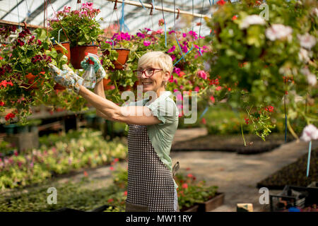 Portrait von Happy senior Floristin Frau stehen und mit Feldspritze im großen Blumengarten Stockfoto