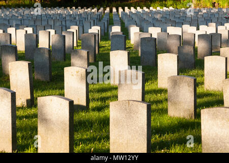 Das Feld der Ehre für gefallene kanadische Militär Kriegsveteranen am Friedhof in Hamilton, Ontario, Kanada. Stockfoto