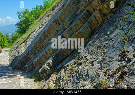 Über 80 Fußabdrücke von Dinosauriern in Esperia, Provinz Frosinone, Italien, Europa gefunden Stockfoto