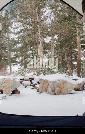 Eine verschneite Campingplatz aus dem Inneren von einem Zelt in Kalifornien gesehen. Stockfoto