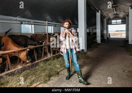 Schöne bärtige Landwirt in Hut stehend mit Pitchfork beim Füttern Kühe bei Abschaltdruck Stockfoto