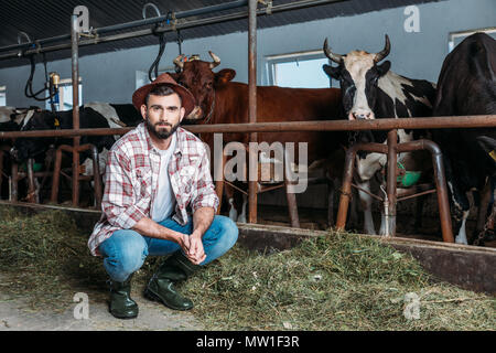 Schöne bärtige Landwirt auf Kamera, während sich in der Nähe von Kühen im Stall Stockfoto