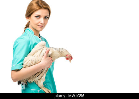 Seitenansicht des Tierarztes in Uniform blendung Huhn isoliert auf weißem Stockfoto