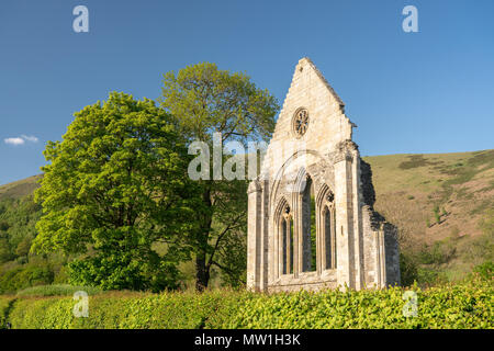 Ruiniert, Wand und Fenster von Valle Crucis Abbey in der Nähe von Llangollen Stockfoto