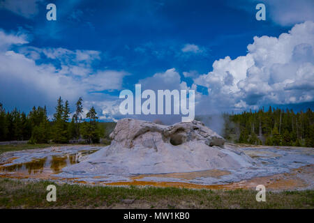 Nahaufnahme von Giant Geysir, die zweithöchste Geysir der Welt. Upper Geyser Basin, Yellowstone National Park Stockfoto