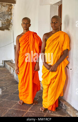 Zwei Mönche im Dambulla Höhlentempel, Kandy, Matale District, Sri Lanka Stockfoto