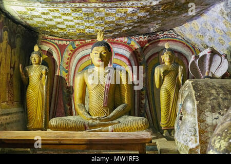 Buddha-Statuen im Dambulla Höhlentempel, Bezirk Matale, Sri Lanka Stockfoto