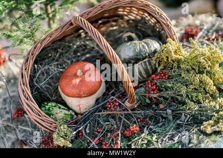 Herbst Weidenkorb mit dekorativen echten Kürbisse, Herbst Beeren und Blumen. Thanksgiving, Halloween Dekoration. Herbst, Herbst Hintergrund Stockfoto