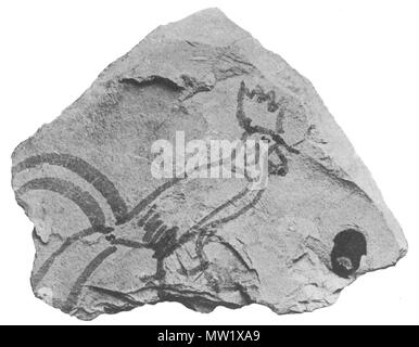 . Englisch: Töpferei Fragment mit ein Bild von einem Hahn am Grab des Tutanchamun entdeckt. 1300 s BC. Unbekannt 617 Tutanchamun Hahn Ostrakon Stockfoto