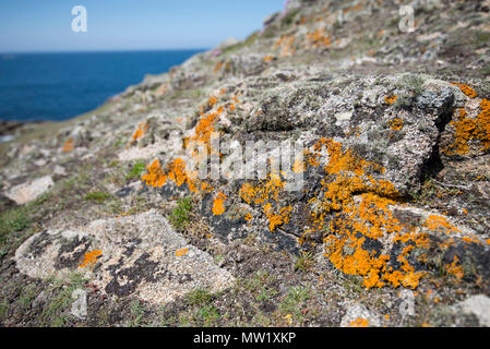 Felsvorsprung auf Bryher Stockfoto
