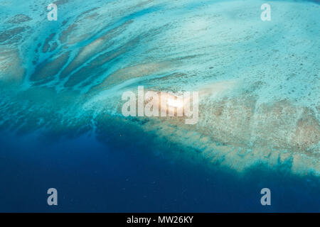 Luftaufnahme von Coral Reef mit kleinen weißen Sandstrand in der Mitte Stockfoto