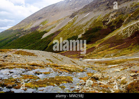 Ein kleiner Bach hinunter läuft. Das Wasser kommt aus dem verschneiten Gletscher Martial und Kreuze der argentinischen Stadt Ushuaia am Beagle Kanal zu beenden. Stockfoto