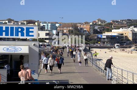 Hunderte von Menschen zu Fuß am Bondi Beach, Sydney Australien. Personen, sonnigen Tag am Strand in Australien. Sydney Menschen bummeln am Strand. Stockfoto