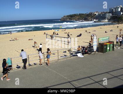 Anzeigen von Bondi Beach in Sydney, Australien. Menschen spielen Beachvolleyball in Sydney. Stockfoto