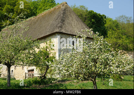 Reetdachhaus Trail. Apple Bäume in Blüte und Bauernhof mit Strohdach im natürlichen Region Marais-Vernier, Stadt des Regionalen Naturparks Stockfoto