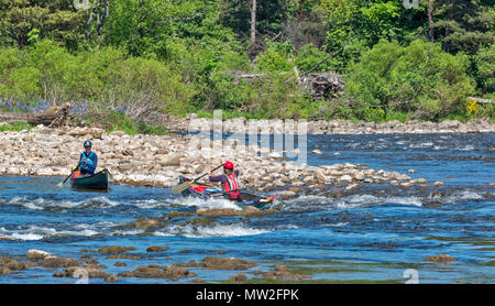 RIVER SPEY SPEYSIDE TAMDHU SCHOTTLAND KANU KANUTE EINZIGE GRÜNE KANU VERMEIDET FELSEN IN DEN STROMSCHNELLEN DES FLUSSES IM FRÜHJAHR Stockfoto