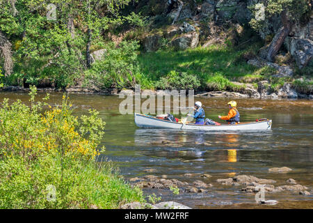 RIVER SPEY SPEYSIDE TAMDHU SCHOTTLAND KANU KANUTE GRAU KANU MIT ZWEI PERSONEN AUF DEM FLUSS IM FRÜHJAHR ZU BEGINN DER RAPIDS Stockfoto