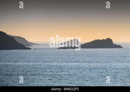 Abendlicht über die Gans und das Küken, kleinen, felsigen Inseln vor der Küste von Newquay in Cornwall. Stockfoto