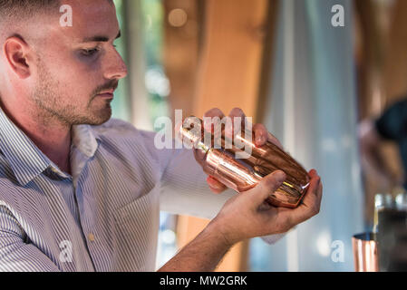 Ein Barkeeper mit einem Cocktail Shaker bei einem Gin tasting Event. Stockfoto