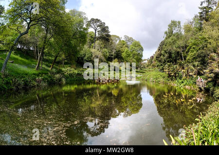 Stockente Teich im trebah Garten in Cornwall. Stockfoto