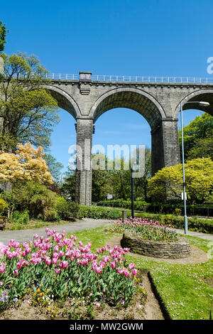 Trenance Viadukt in einem denkmalgeschützten Struktur in Newquay Cornwall. Stockfoto