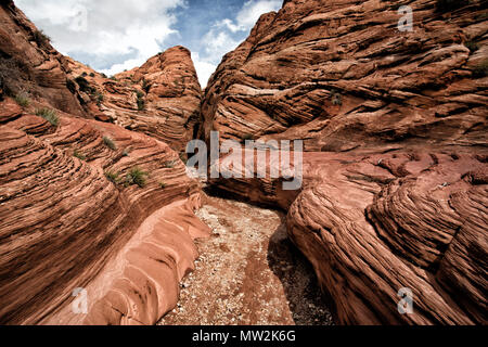 Wire Pass Slot Canyon in Utah Stockfoto