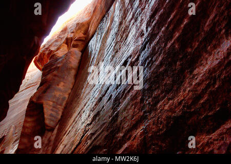 Wire Pass Slot Canyon in Utah Stockfoto