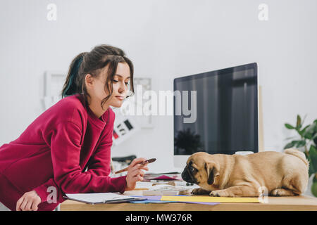 Attraktive junge Mädchen spielen mit Mops beim Arbeiten auf Illustrationen im Home Office Stockfoto