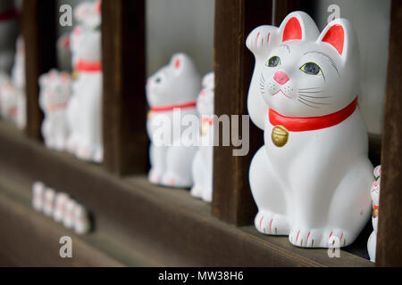 Maneki Neko - glückliche Katzen bei Goutokuji Schrein, Tokio, Japan Stockfoto