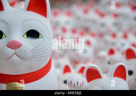 Maneki Neko - glückliche Katzen bei Goutokuji Schrein, Tokio, Japan Stockfoto