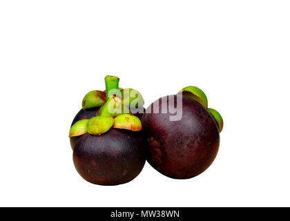 Ganze mangosteen, lila Haut auf weißem Hintergrund mit Leerzeichen getrennt. Tropische Früchte aus Thailand. Die Königin der Früchte. Asien frisches Obst mark Stockfoto