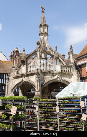 Markt Kreuz als Geflügel Kreuz, Salisbury, Wiltshire, England, UK Stockfoto