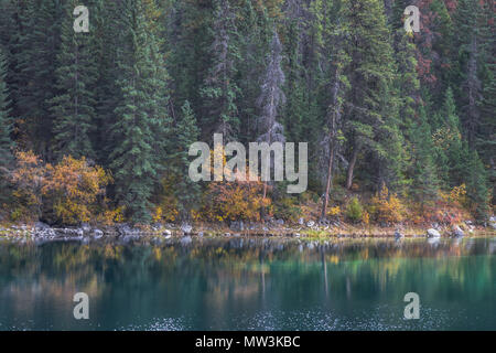 Tal der fünf Seen in Jasper National Park, Kanada Stockfoto