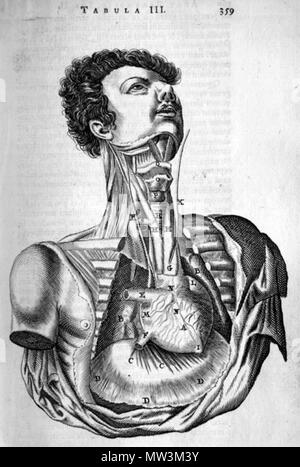 . Thomas Bartholin (1616-1680): Anatome ex omnium veterum recentiorumque observationibus, 1673. Januar 2008. McLeod 73 Bartholinischen Hals und Thorax Stockfoto