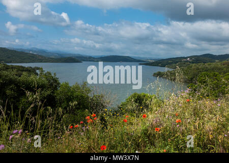 Lago di Liscia mit roten Mohnblumen, Behälter, um Luras, Gallura, Sardinien, Italien Stockfoto