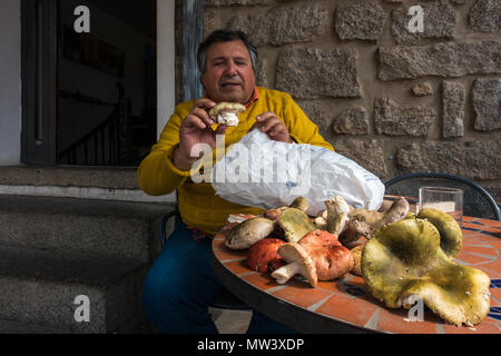Italienischen Mann mit einer Tüte hat essbare Pilze auf dem Display vor einem Cafe in Sardinien Stockfoto
