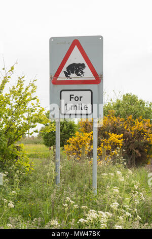 Kröten Kreuzung Straße Warnschild, Großbritannien Stockfoto