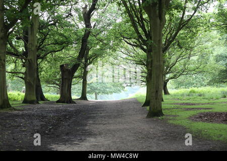 Richmond Park 2018 Stockfoto